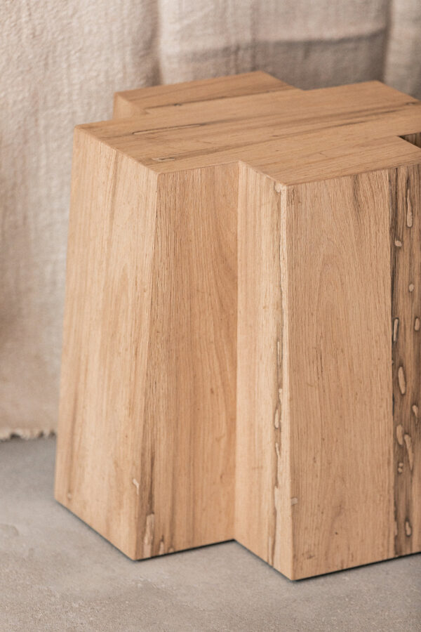 Bert Demasure The HUB TIM web132